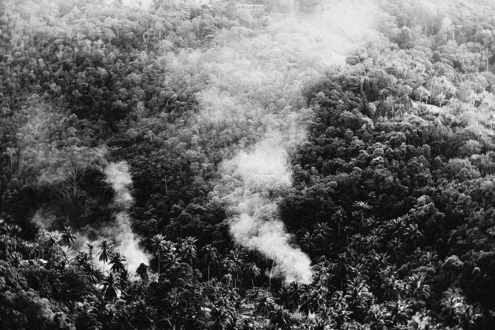 Is Bali Affected by the Kalimantan Haze? What I Checked Before Writing This
