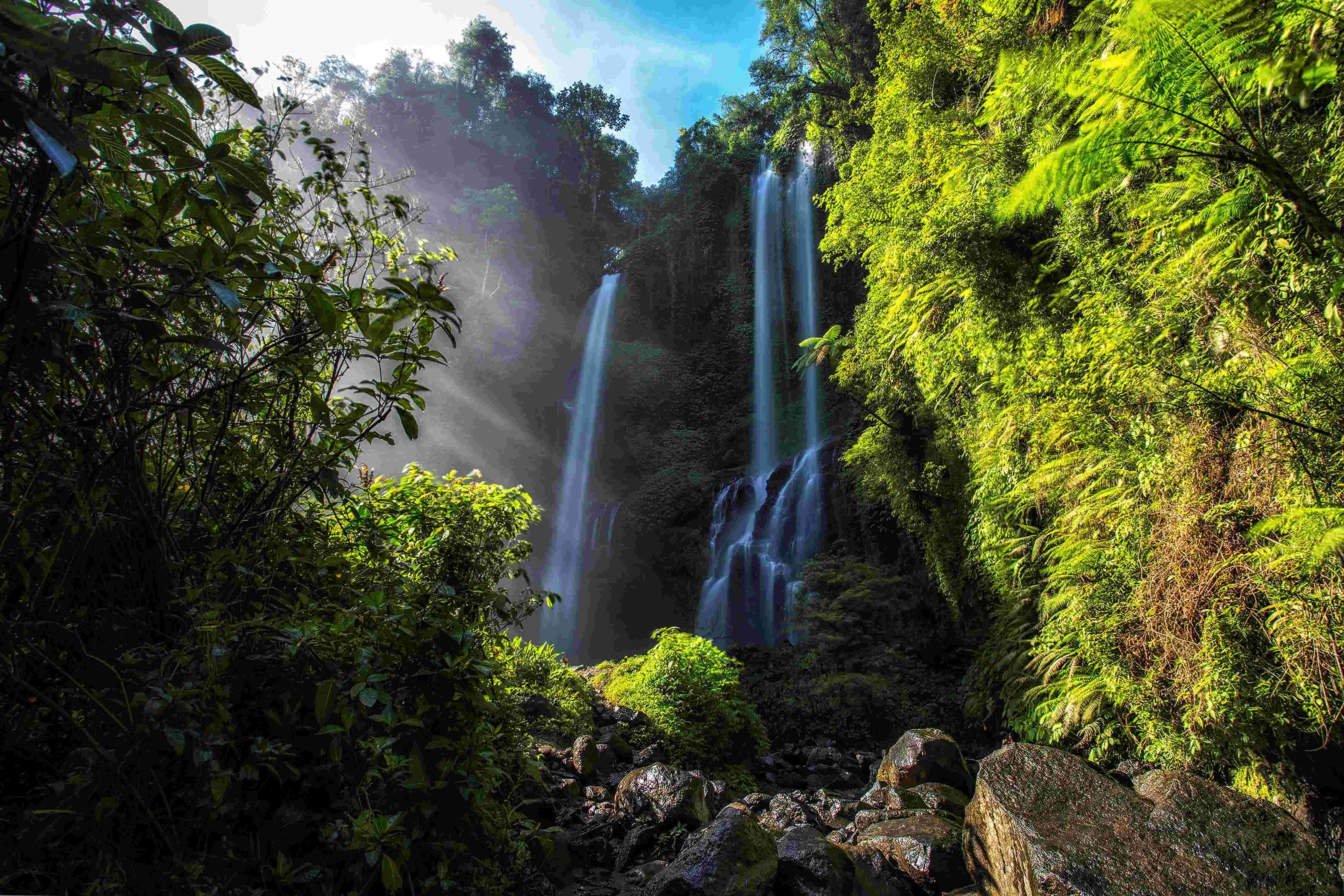 Bedugul Tour: Lake Temple, Waterfall and Botanical Garden — photo 3