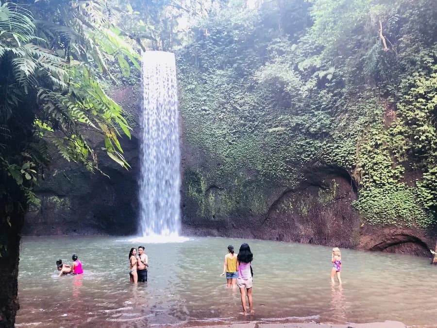 Bedugul Tour: Lake Temple, Waterfall and Botanical Garden — photo 4